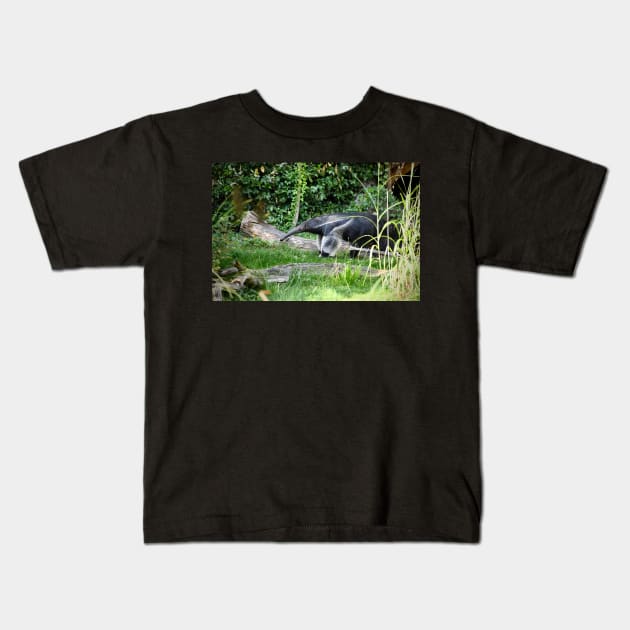 Anteater / Swiss Artwork Photography Kids T-Shirt by RaphaelWolf